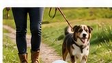 Dog Walkers